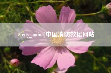 澳门中国消防救援网站