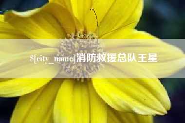 澳门消防救援总队王星