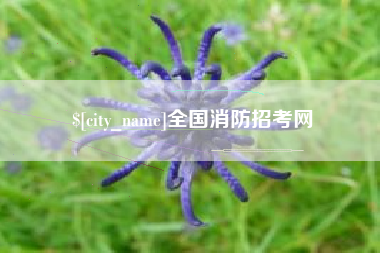 澳门全国消防招考网