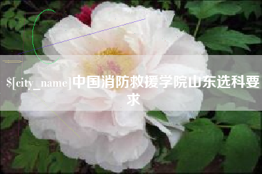 澳门中国消防救援学院山东选科要求