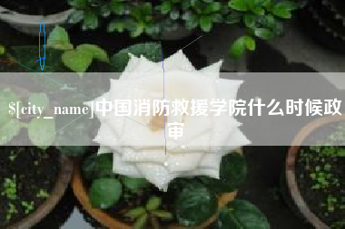 澳门中国消防救援学院什么时候政审