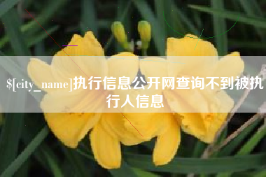 澳门执行信息公开网查询不到被执行人信息