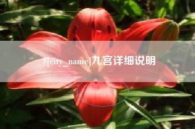 澳门九宫详细说明