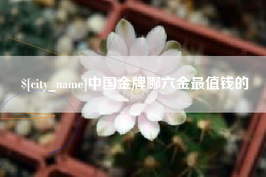 澳门中国金牌哪六金最值钱的