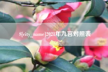 澳门2021年九宫对照表