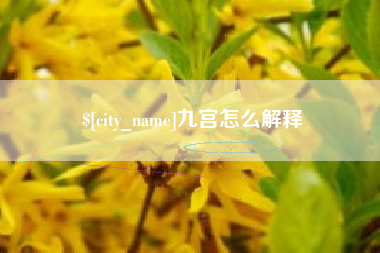 澳门九宫怎么解释