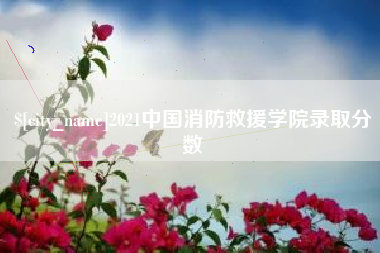 澳门2021中国消防救援学院录取分数