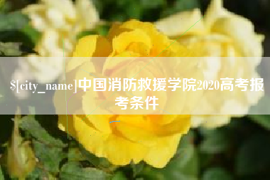 澳门中国消防救援学院2020高考报考条件