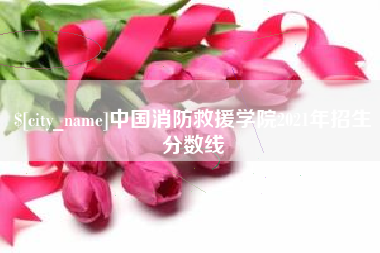 澳门中国消防救援学院2021年招生分数线
