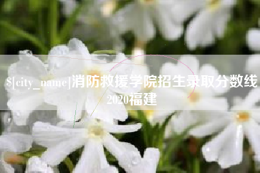 澳门消防救援学院招生录取分数线2020福建