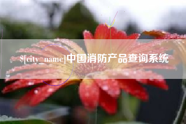 澳门中国消防产品查询系统