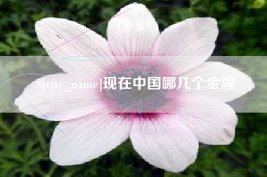 澳门现在中国哪几个金牌