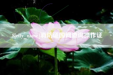 澳门消防证国网查询操作证