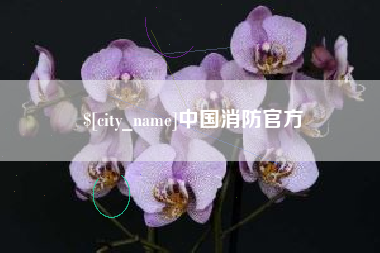 澳门中国消防官方