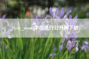 澳门中国执行公开网下载