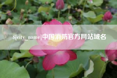 澳门中国消防官方网站域名