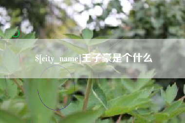 澳门王子豪是个什么