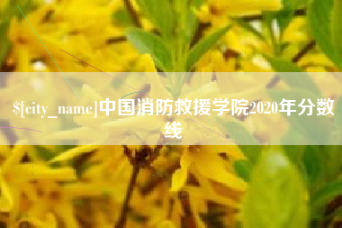 澳门中国消防救援学院2020年分数线
