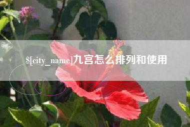 澳门九宫怎么排列和使用