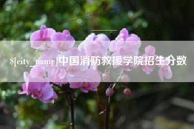 澳门中国消防救援学院招生分数