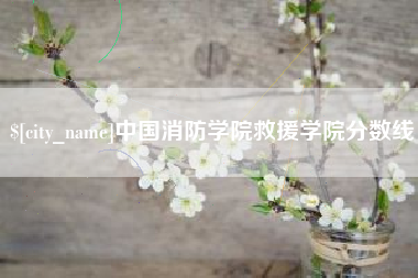 澳门中国消防学院救援学院分数线