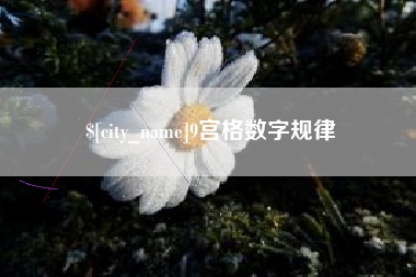 澳门9宫格数字规律