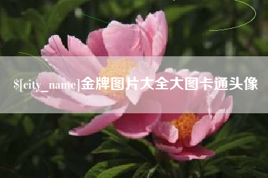 澳门金牌图片大全大图卡通头像