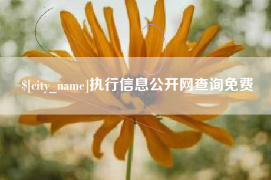 澳门执行信息公开网查询免费