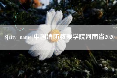 澳门中国消防救援学院河南省2020